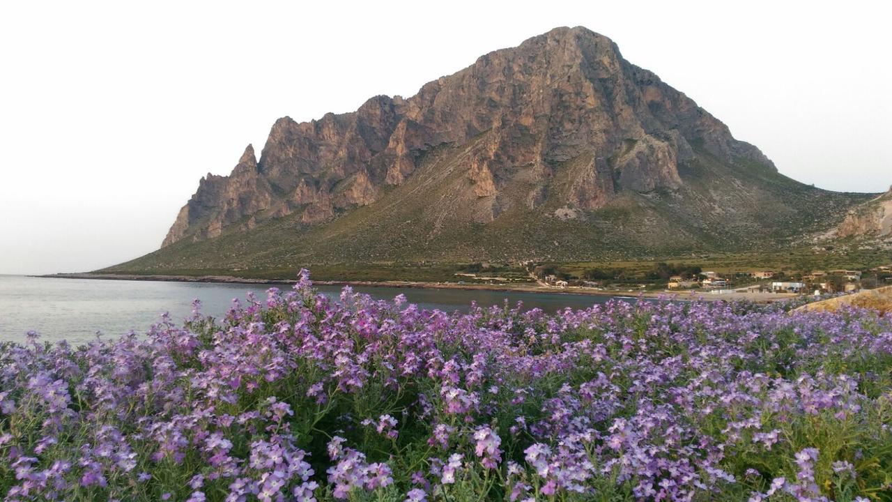 La Ninfea Bed & Breakfast Valderice Dış mekan fotoğraf